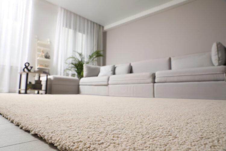 Cozy living room with plush carpet and modern, comfortable seating